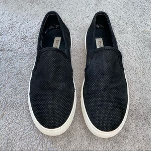 Steve Madden Sneaker
